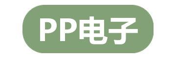 PP电子